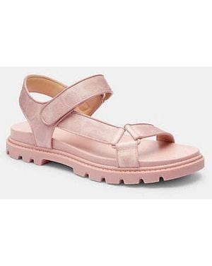 COACH Sport Sandal - Black