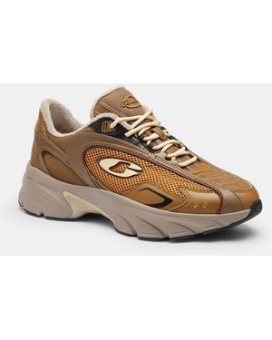 COACH Bolt Runner Sneaker - Brown