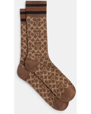 COACH Signature Calf Socks - Brown
