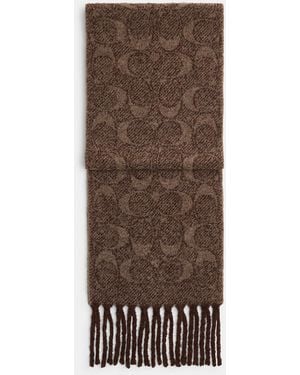 COACH Signature Muffler - Brown