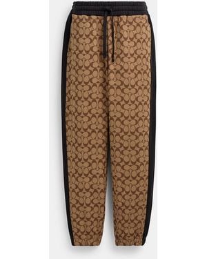COACH Signature Sweatpants - Brown