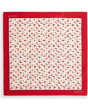 COACH Sculpted C Cherries Print Silk Bandana - Red