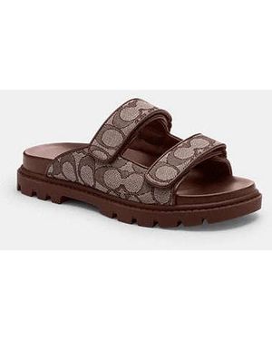 COACH Two Band Sport Slide - Brown