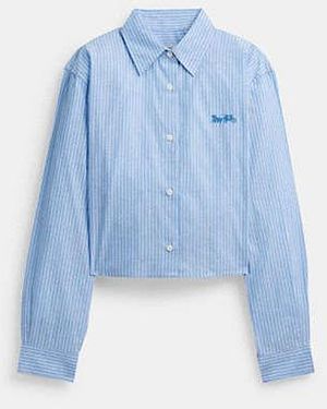 COACH Striped Cropped Button Up Shirt - Blue