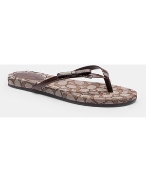 COACH Bow Flip Flop - Brown