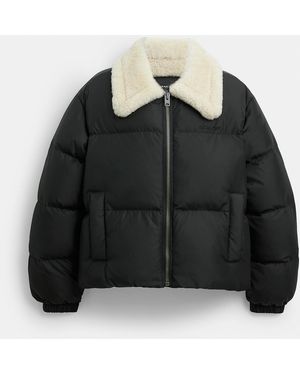 COACH Puffer With Shearling Collar - Black
