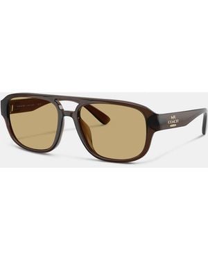 COACH Pilot Sunglasses - Multicolor