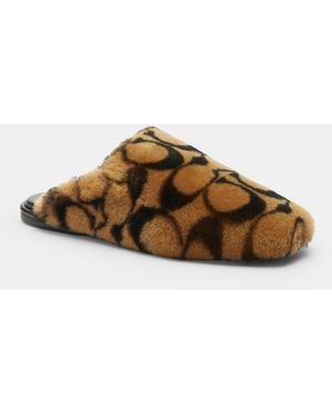 COACH Slipper - Brown