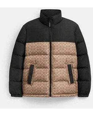 COACH Signature Down Jacket - Multicolor