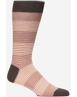 Cole Haan Men's Multi Stripe Dress Crew Socks - Brown