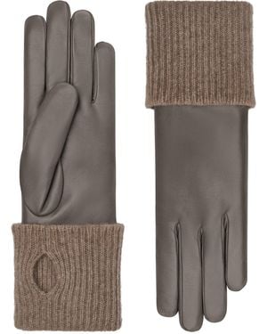 Cornelia James Inès - Brown