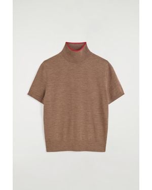 COS Merino Wool Turtleneck Top - Brown