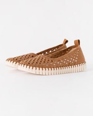 Ilse Jacobsen Tulip Ballerina Shoe - Brown