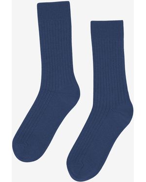 COLORFUL STANDARD Merino Wool Blend Socks - Blue