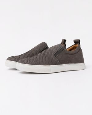 J SHOES Povey - Purple