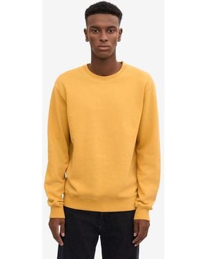 COLORFUL STANDARD Classic Organic Crew Neck Sweatshirt - Orange