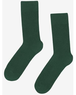 COLORFUL STANDARD Classic Organic Socks - Green
