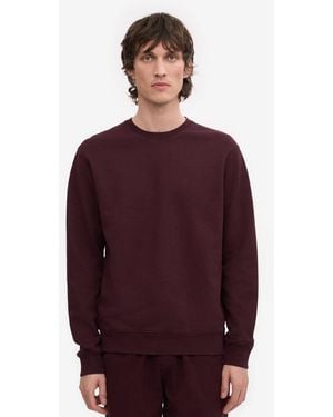 COLORFUL STANDARD Classic Organic Crew Neck Sweatshirt - Red