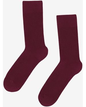 COLORFUL STANDARD Classic Organic Socks - Purple