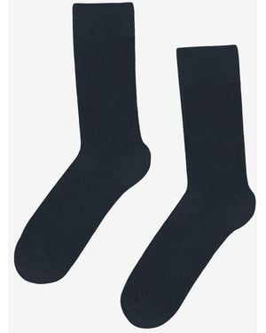 COLORFUL STANDARD Classic Organic Socks - Blue