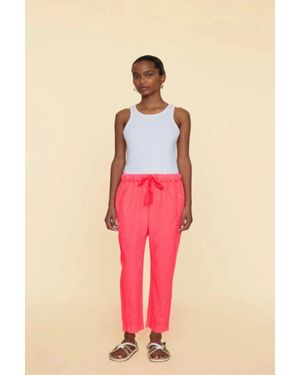Xirena Draper Pant - Pink