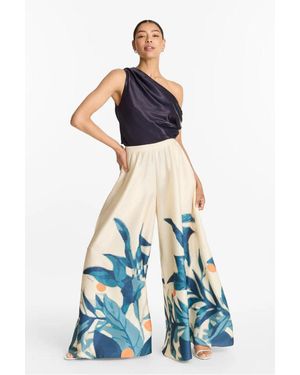 Diarrablu Jant Pant - Blue