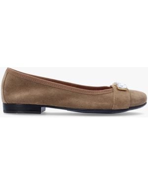 Daniel Linky Taupe Suede Embellished Ballet Court Shoes - White