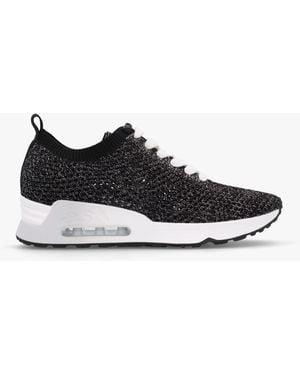 Ash Laika Knitted Lurex Trainers - Black