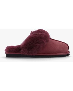Daniel Shut Burgundy Sheepskin Twinface Slippers - Red