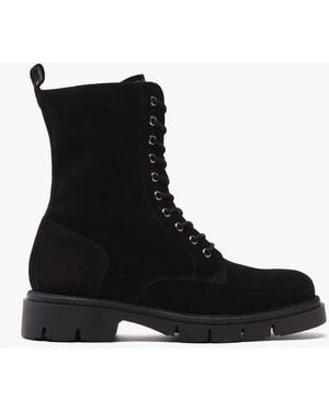 Daniel Lacie Black Suede Lace Up Ankle Boots