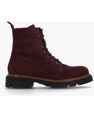 Daniel Lissy Lace Up Ankle Boots - Purple
