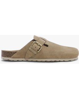 Daniel Iclog Beige Suede Clogs - Natural
