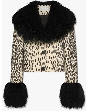 Charlotte Simone Cropped Penny Dotty Mongolian Trim Jacket - Black
