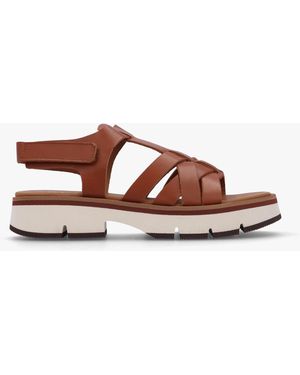 Alpe Angola Chunky Gladiator Sandals - Brown