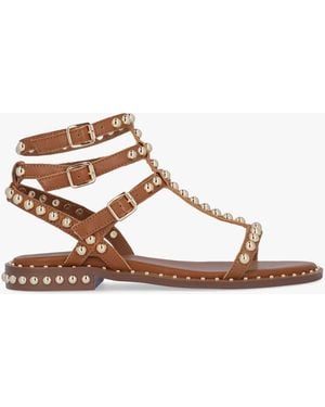 Daniel Eternal Tan Leather Studded Gladiator Sandals - Brown