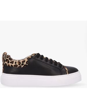 Daniel Panny Leather Leopard Trainers - Black