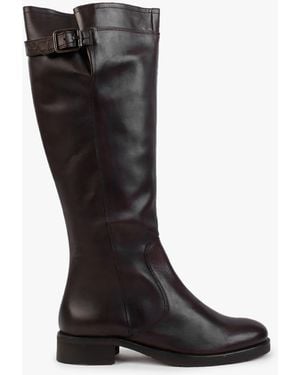 Manas Brown Leather Knee High Boots
