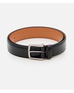 Tod's Solid Belt - Brown