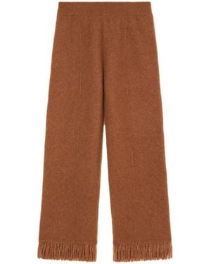 Alanui Cashmere And Silk Blend Pants - Brown