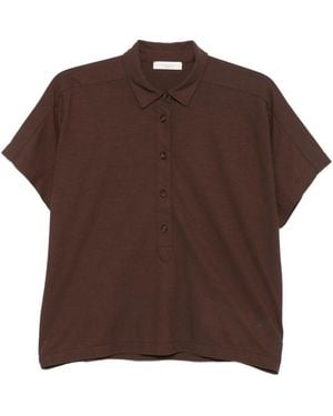 Zanone Shirt Collar Polo - Brown