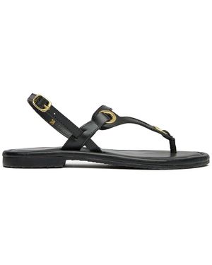 Sole Lou Sandals - Brown