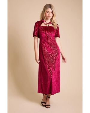 Dorothy Perkins Dp Luxe Tie Front Velvet Maxi Dress - Pink