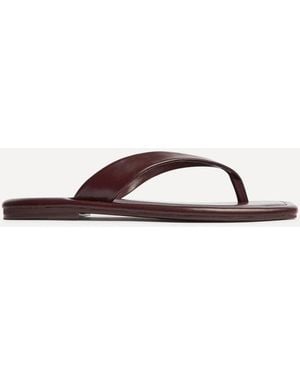 Linzi Element Toe Post Flat Sandals - Black