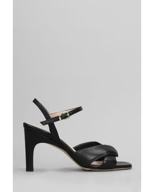 Evaluna Sandals In Black Leather