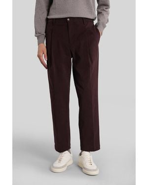 BRIGLIA Courmayeurs Pants In Brown Cotton - Black