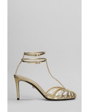 ALEVI Sandali Anna 80 in Pelle Oro - Metallizzato