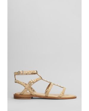 Ash Pandora Flats In Beige Leather - Natural