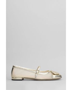 Evaluna Ballet Flats In Platinum Leather - Multicolor