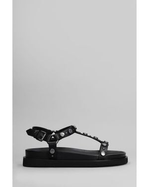 Ash Sandali flats Ugo in Pelle Nera - Grigio