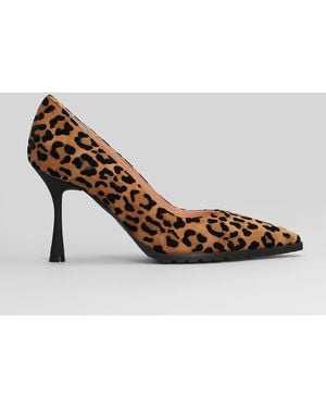 Fratelli Russo Pumps In Animalier Suede - Multicolor